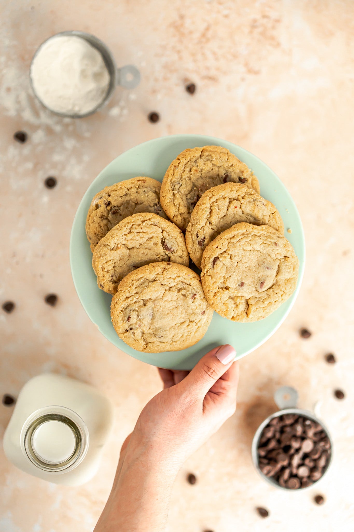 CHOCOLATE CHIP: HALF-DOZEN for