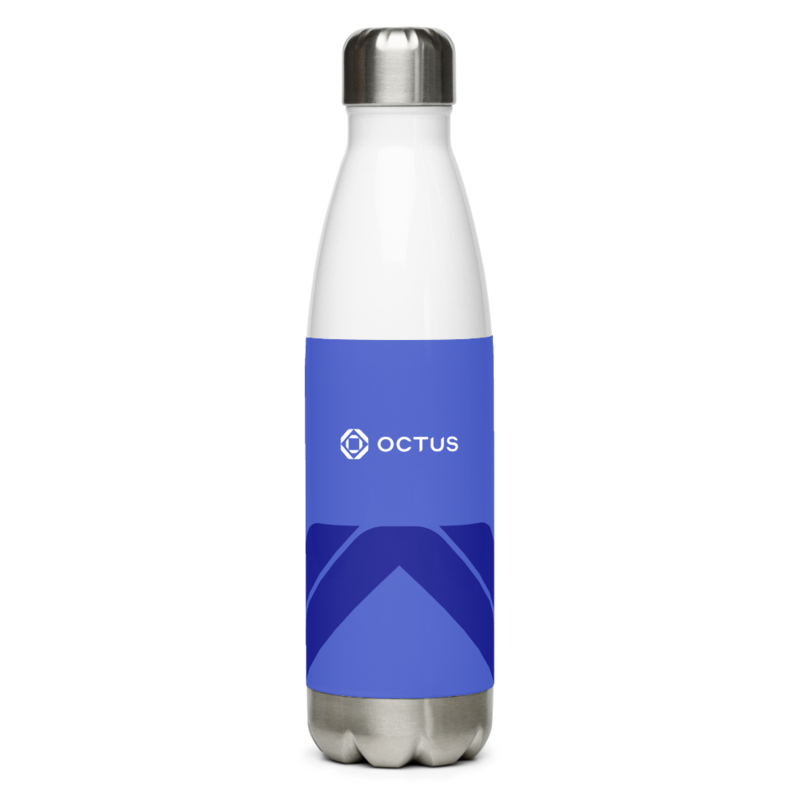 Stainless Steel Water Bottle for