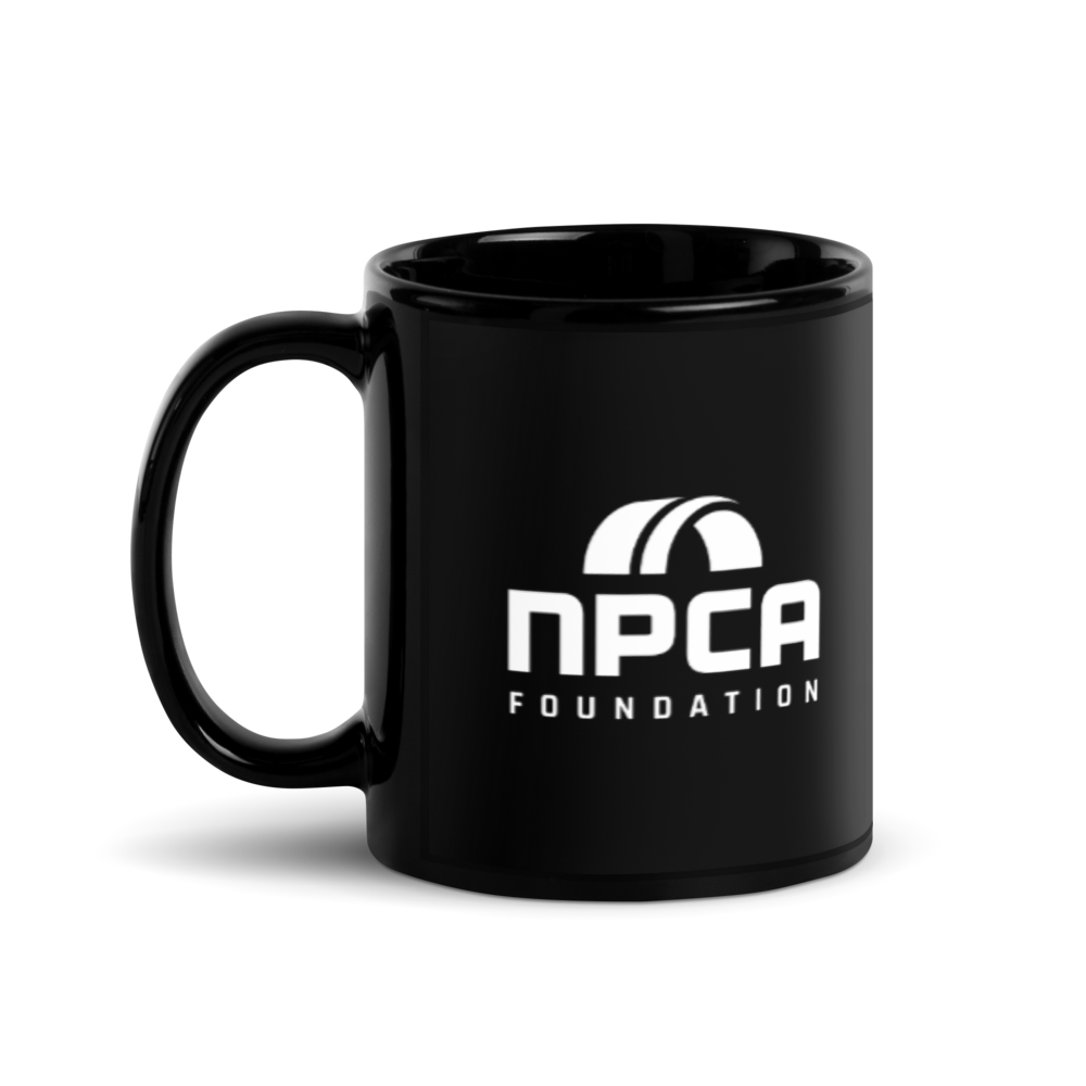 Black Glossy Mug 11oz for