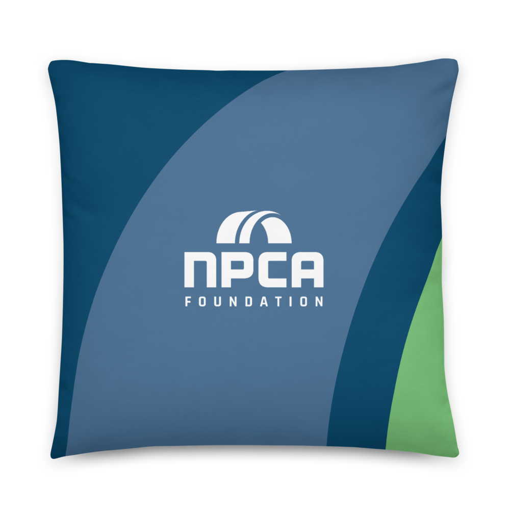  All Over Print Pillow for